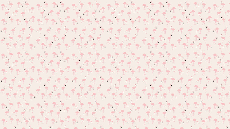 Flamingos