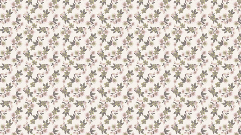 Hellebores - OffVit