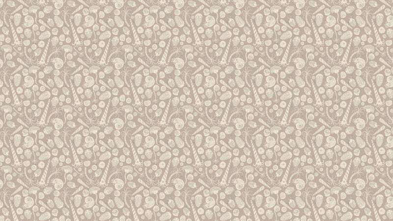 Fossils - Mole