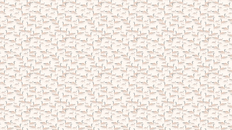 Canada Geese - OffVit