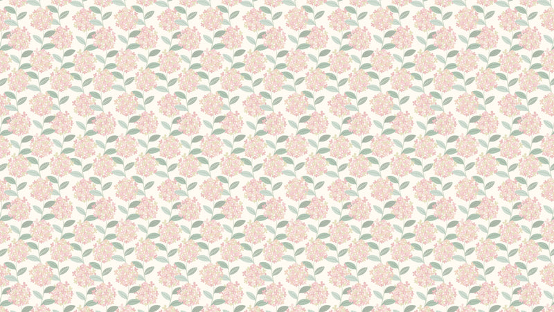 Hortensia - Rosa