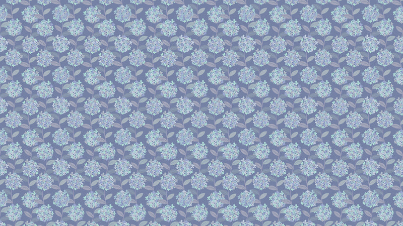 Hortensia - Blå