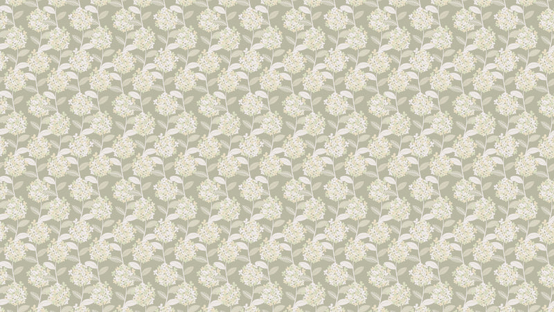 Hortensia - Oliv