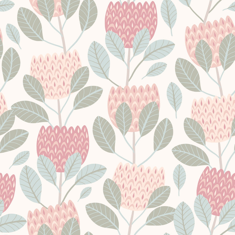 Protea - Garden
