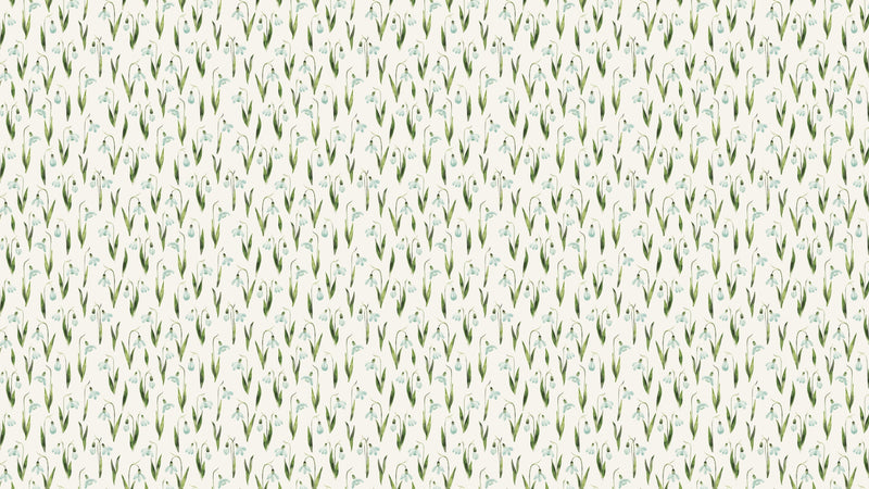 Snowdrops