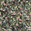 Endless summer - A sunny day