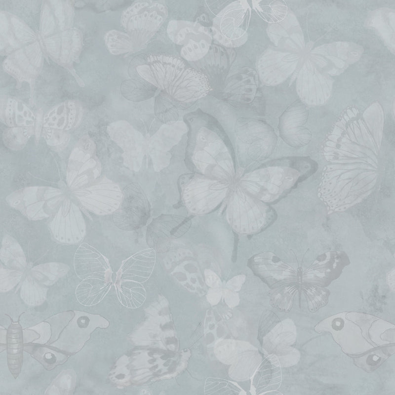 Mariposa - Rain-laden clouds
