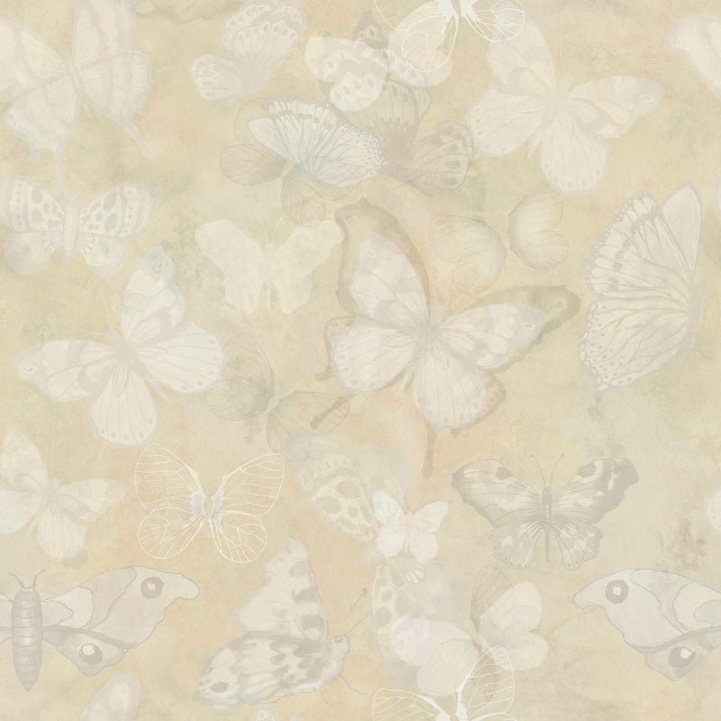 Mariposa - Wheat