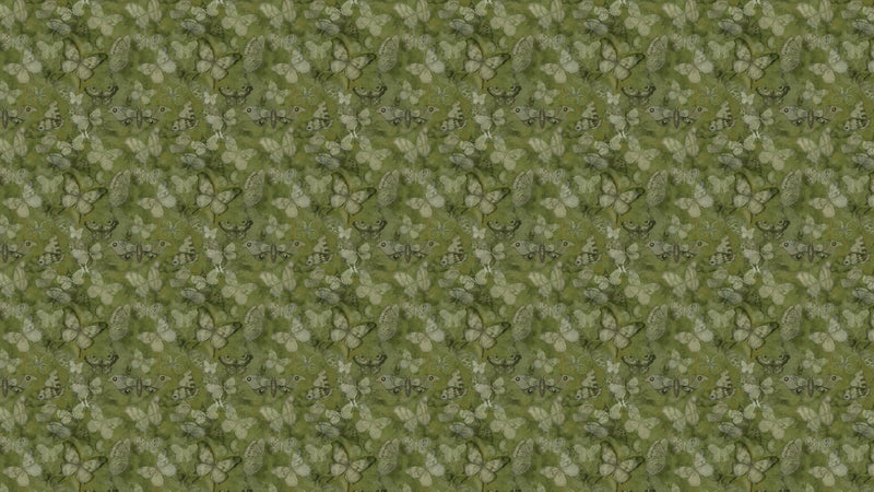 Mariposa - Kiwi