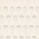 Sunset and Seagulls - Fog