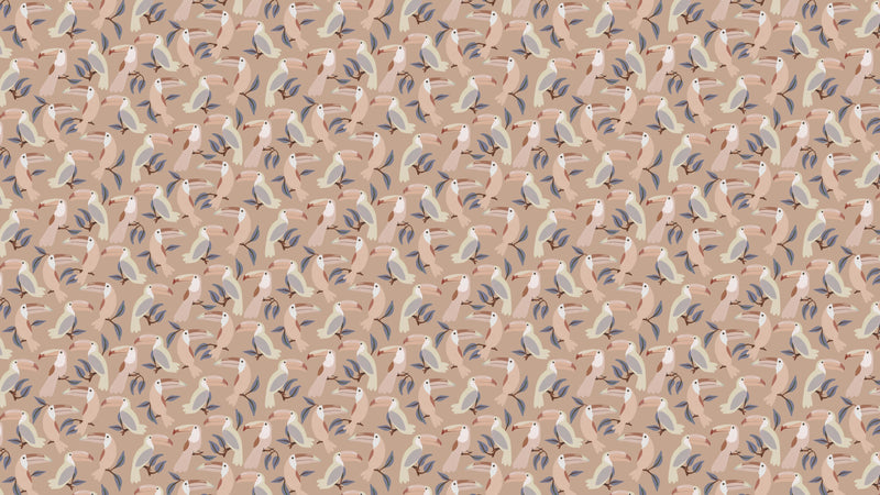 Toucans - Nougat