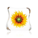 Solros, gul - Floral Fantasy - stor