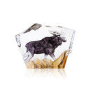 Älg - Wildlife målad