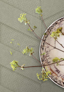 Origintapet kakelmotiv med ormskinn tryck - beige - Hemmavid.se