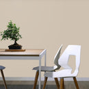 Macchiato Väggfärg Jotun 1359