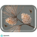Åry Trays Pine cone "Mossgrå", Bricka - 27x20cm - Hemmavid